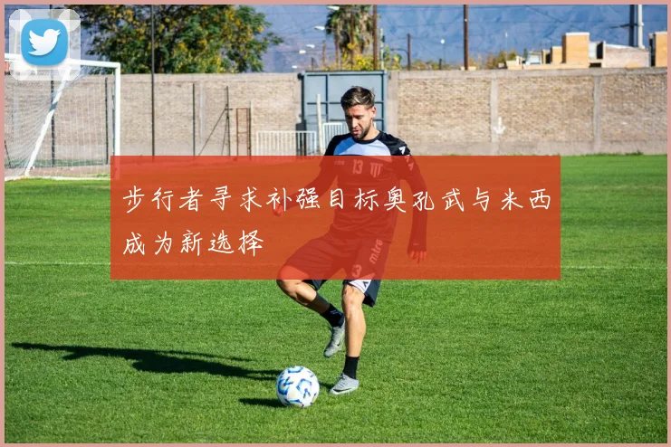 步行者寻求补强目标奥孔武与米西成为新选择